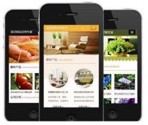 手機(jī)網(wǎng)站怎樣做才更有效果？如何做優(yōu)化？