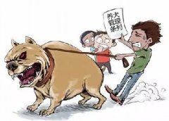 青島10月份一大波勁爆消息，你知道嗎？